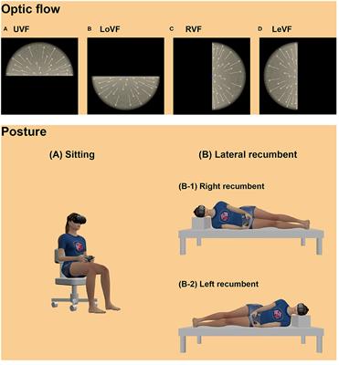 Roles of the Retinotopic and Environmental Frames of Reference on Vection